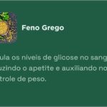 WhatsApp Image 2025-11-16 at 12.51.30